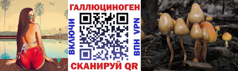 Псилоцибиновые грибы Psilocybine cubensis закладка Балашиха